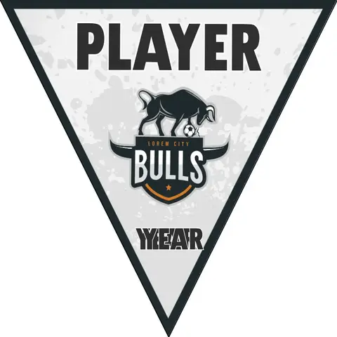 Bulls 1 Soccer Banner
