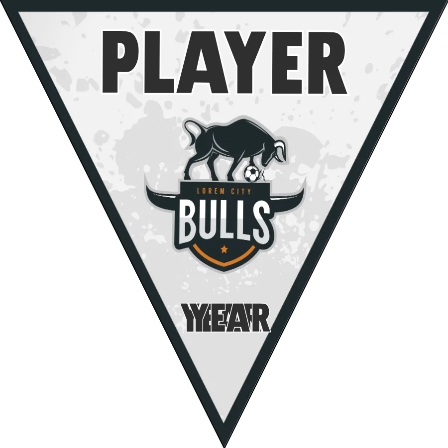 Bulls 1 Soccer Banner