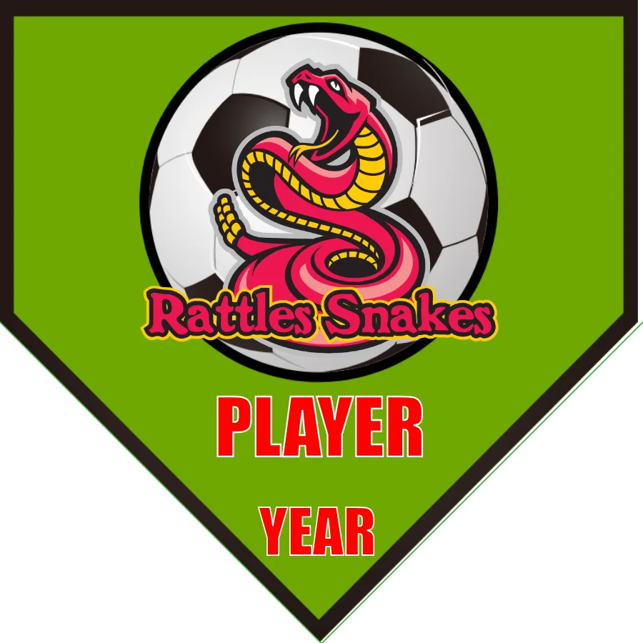Rattlesnakes Soccer Banner-soccer-team-banner-picture