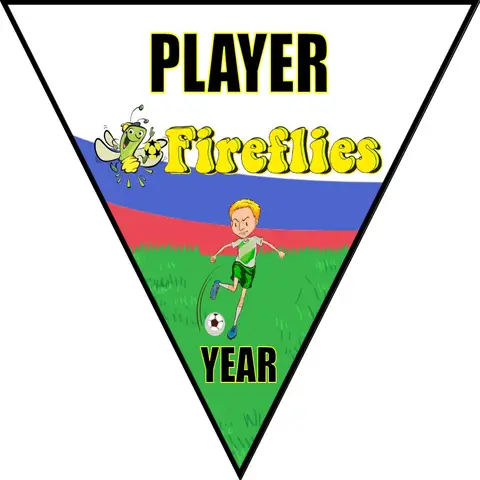 Fireflies Soccer Banner-soccer-banners-for-sale-picture