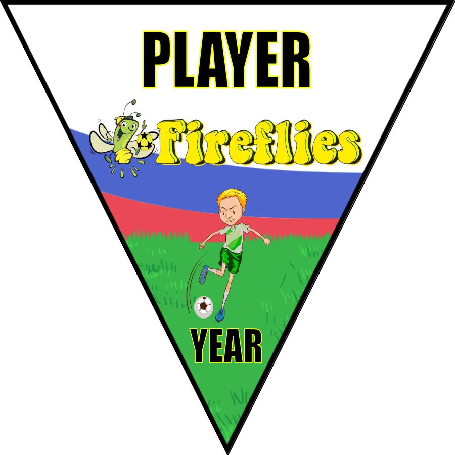 Fireflies Soccer Banner-soccer-banners-for-sale-picture
