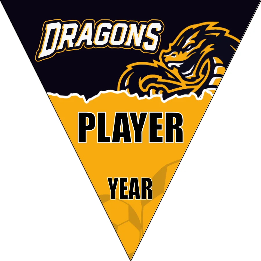 Dragons 1 Soccer Banner-soccer-ball-banner-picture