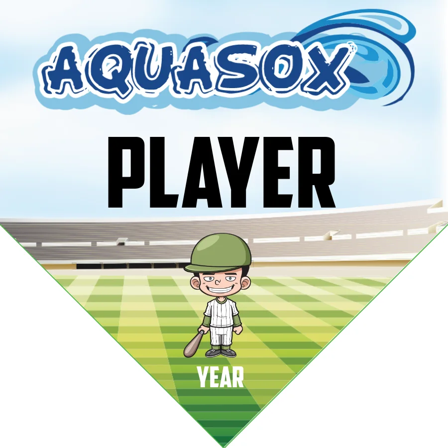 Aquasox Softball Banner-senior-softball-banners-images