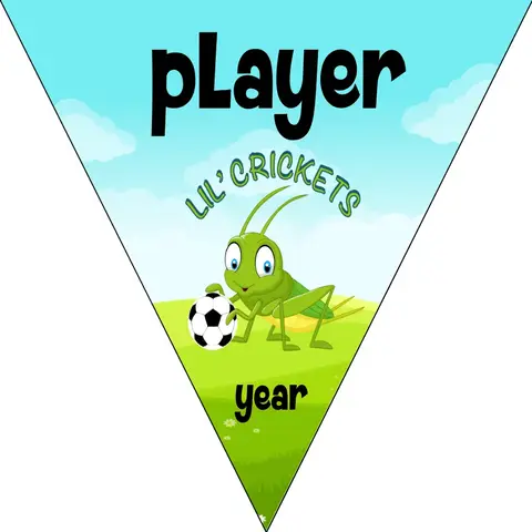 Crickets Soccer Banner-soccer-banner-psd-picture