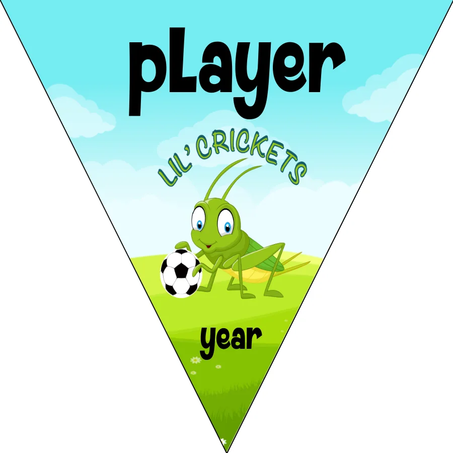 Crickets Soccer Banner-soccer-banner-psd-picture