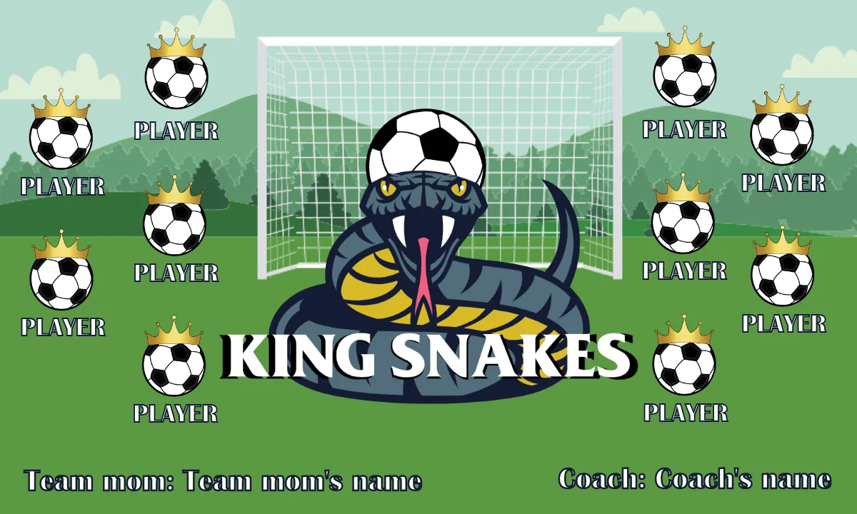 KING SNAKES Soccer Banner-soccer-banner-stand-picture