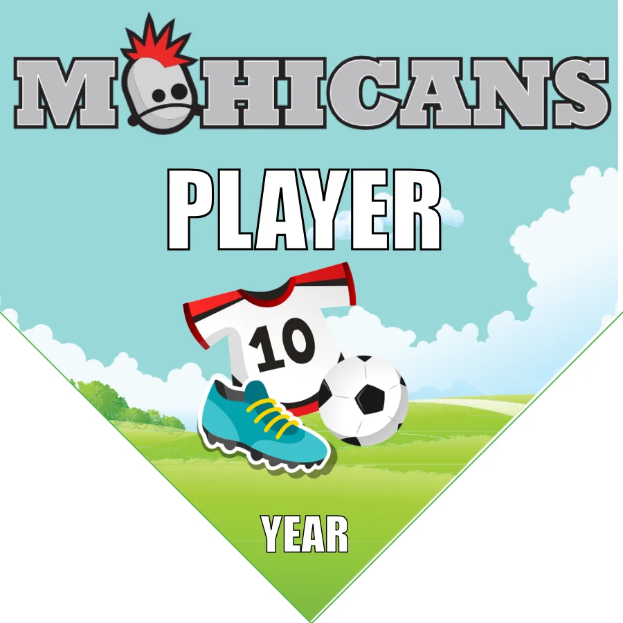 Mohicans Soccer Banner-soccer-team-banners-picture