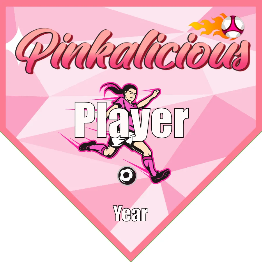 Pinkalicious Soccer Banner-soccer-team-banner-ideas-picture