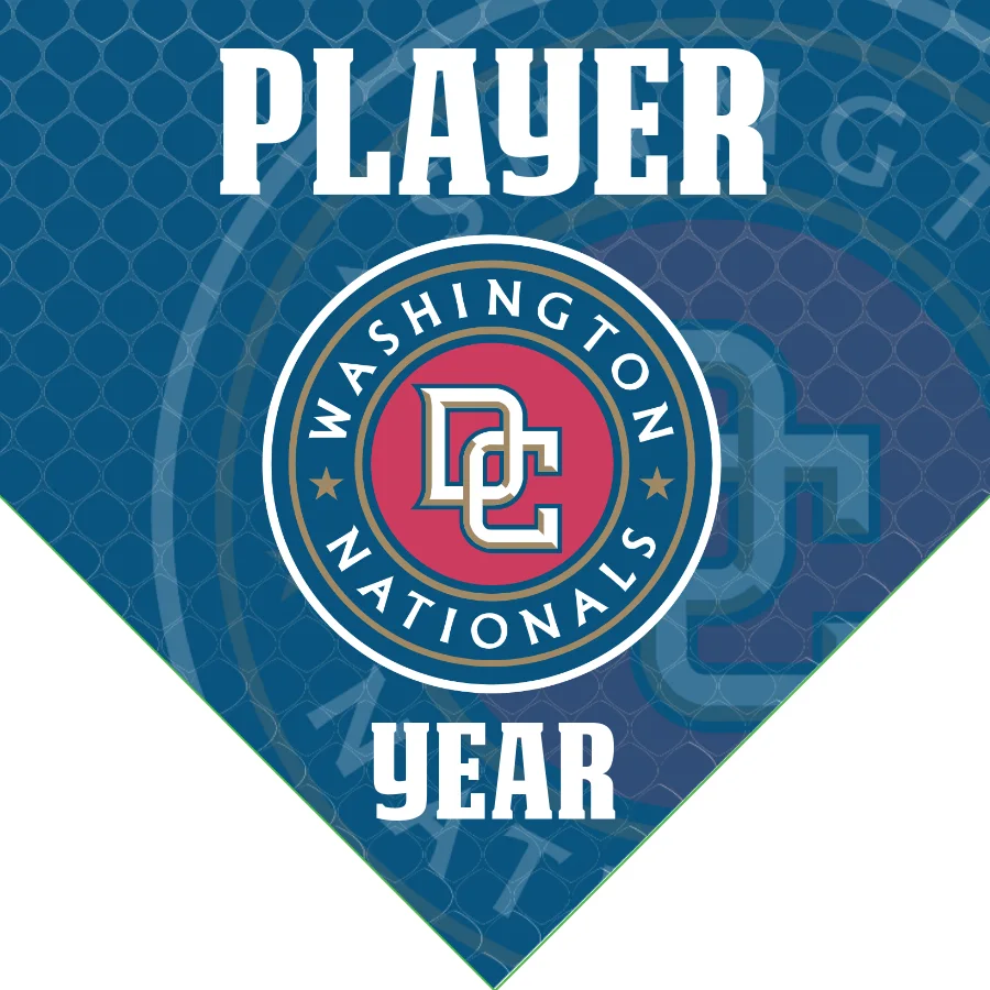 Nationals 2 Baseball Banner-baseball-banner-vector-images