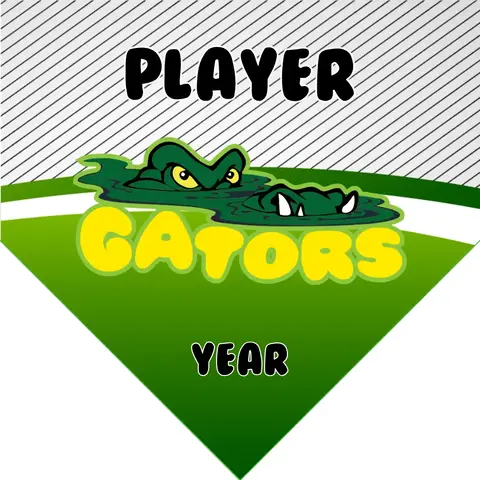 Gator Soccer Banner-soccer-banners-homemade-picture