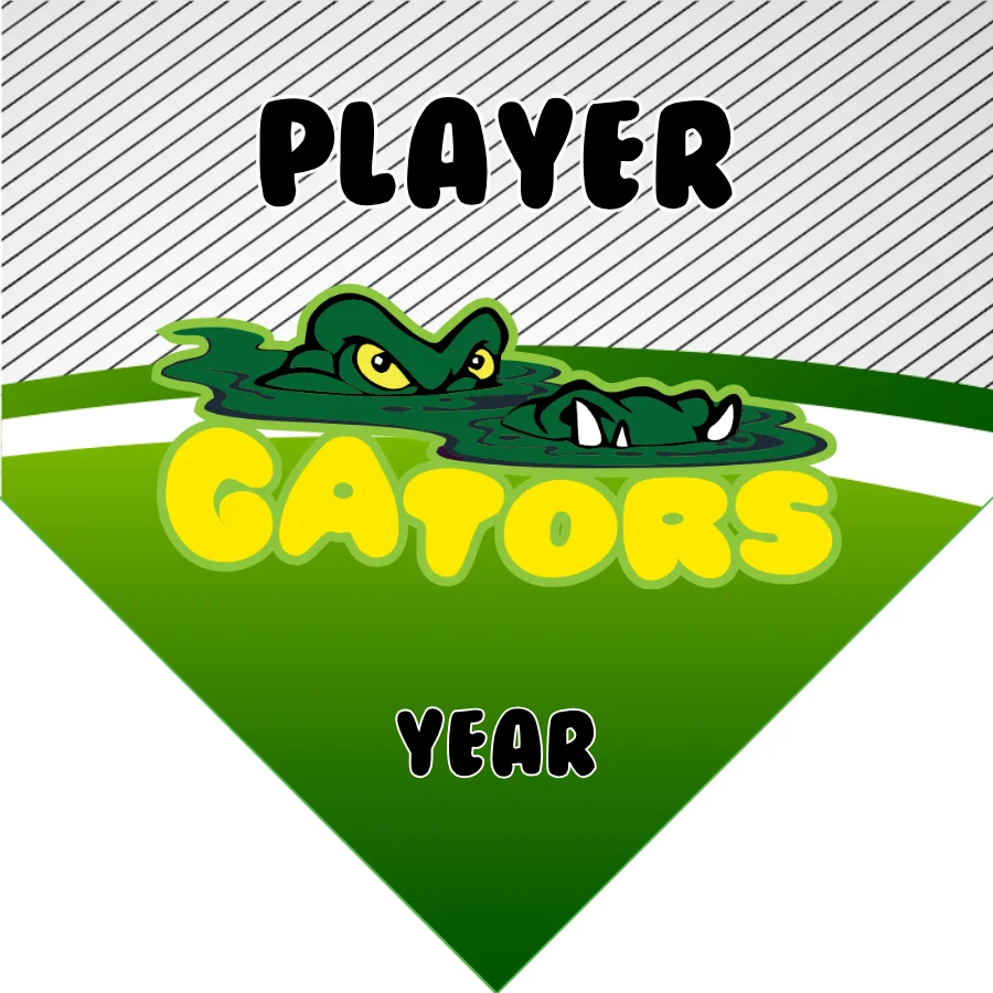 Gator Soccer Banner-soccer-banners-homemade-picture