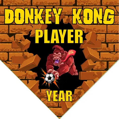 Donkey Kong Soccer Banner-soccer-banner-stand-pvc-picture