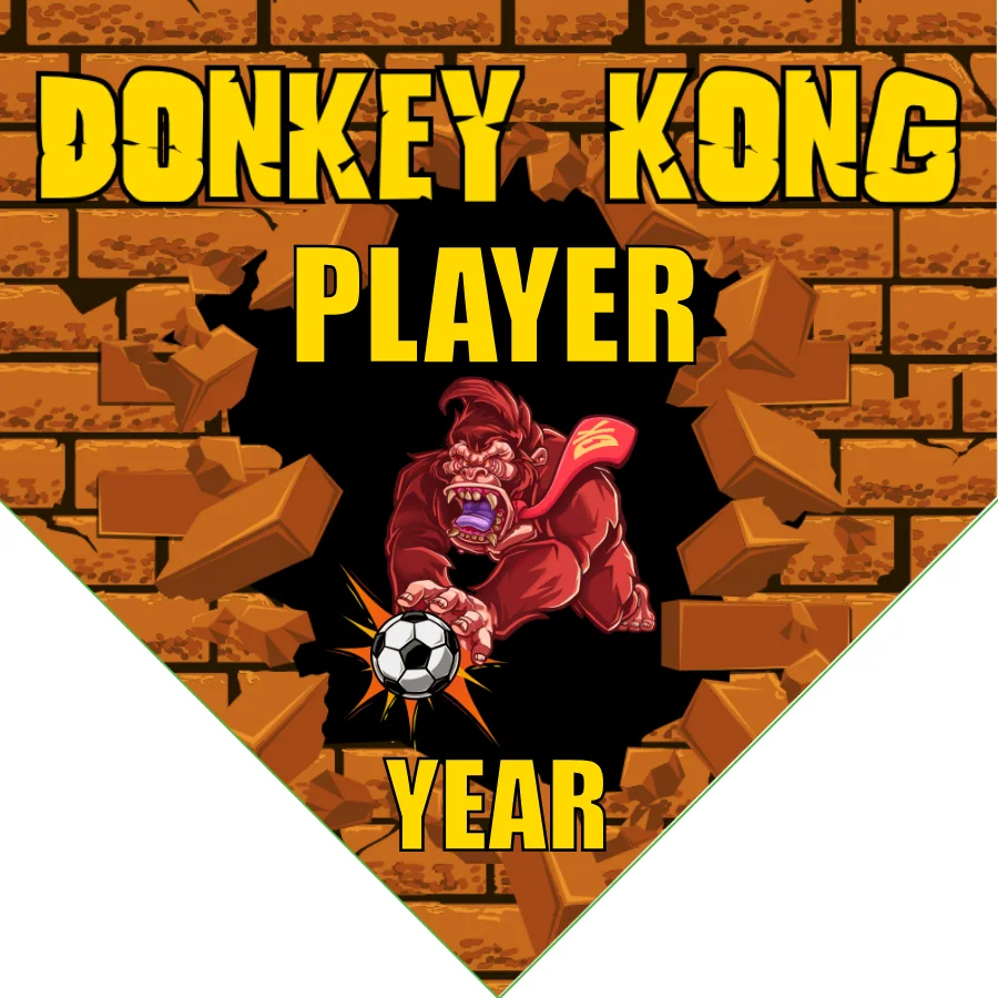 Donkey Kong Soccer Banner-soccer-banner-stand-pvc-picture