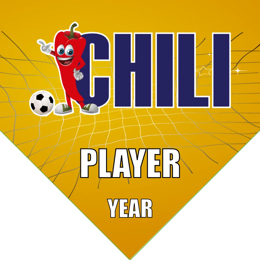 Chilis Soccer Banner-germany-soccer-banner-picture