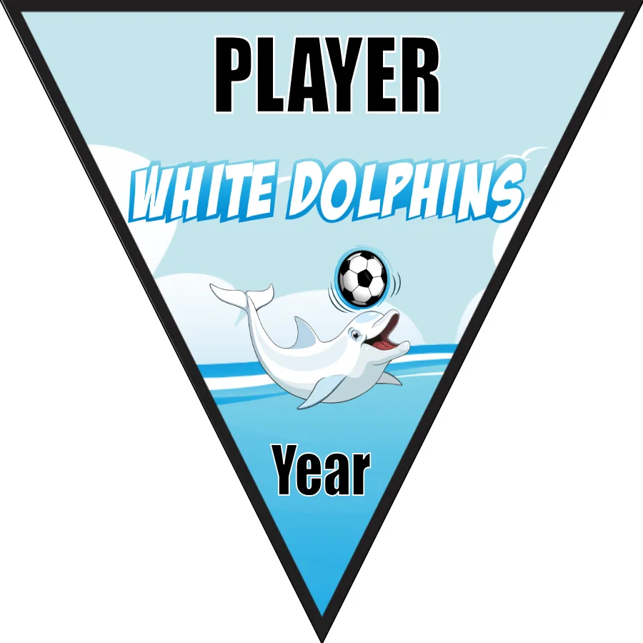 Dolphins White Soccer Banner-soccer-banner-ideas-picture