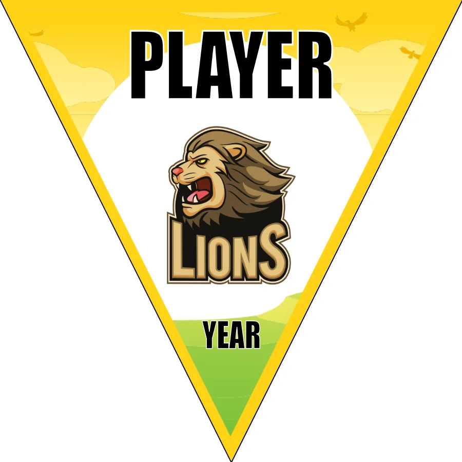 Lions 1 Soccer Banner-soccer-banners-visalia-ca-picture