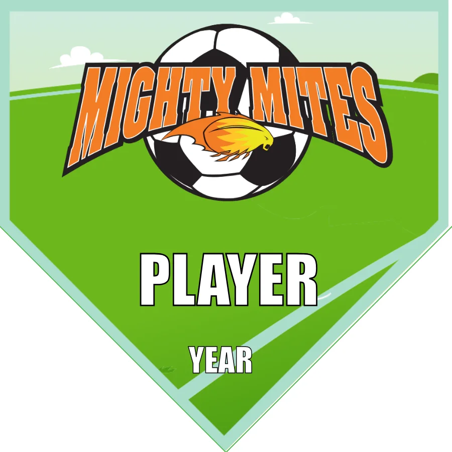 MightyMites Soccer Banner-soccer-team-banner-picture