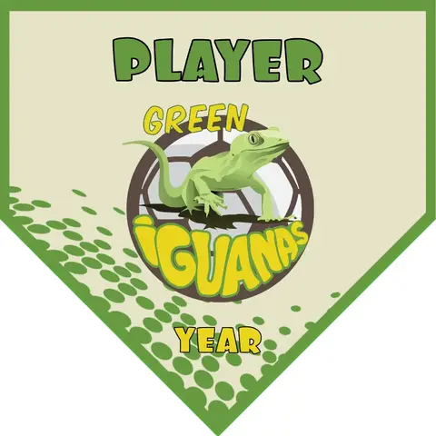 Green Iguanas Soccer Banner-soccer-banner-samples-picture