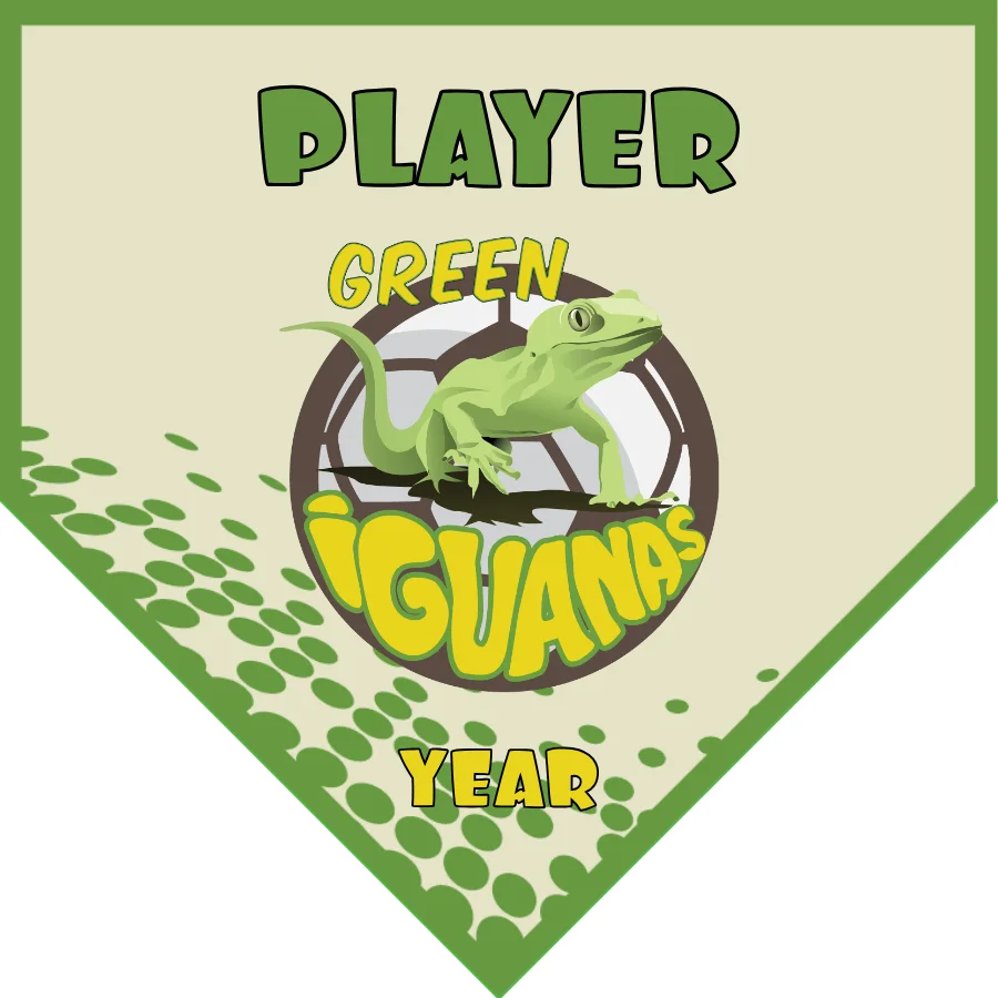 Green Iguanas Soccer Banner-soccer-banner-samples-picture
