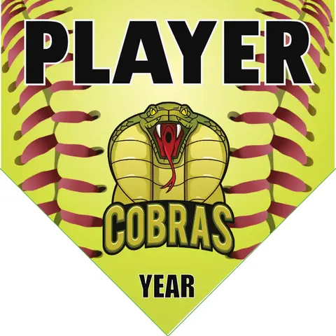 Cobras Softball Banner-all-star-softball-banners-picture