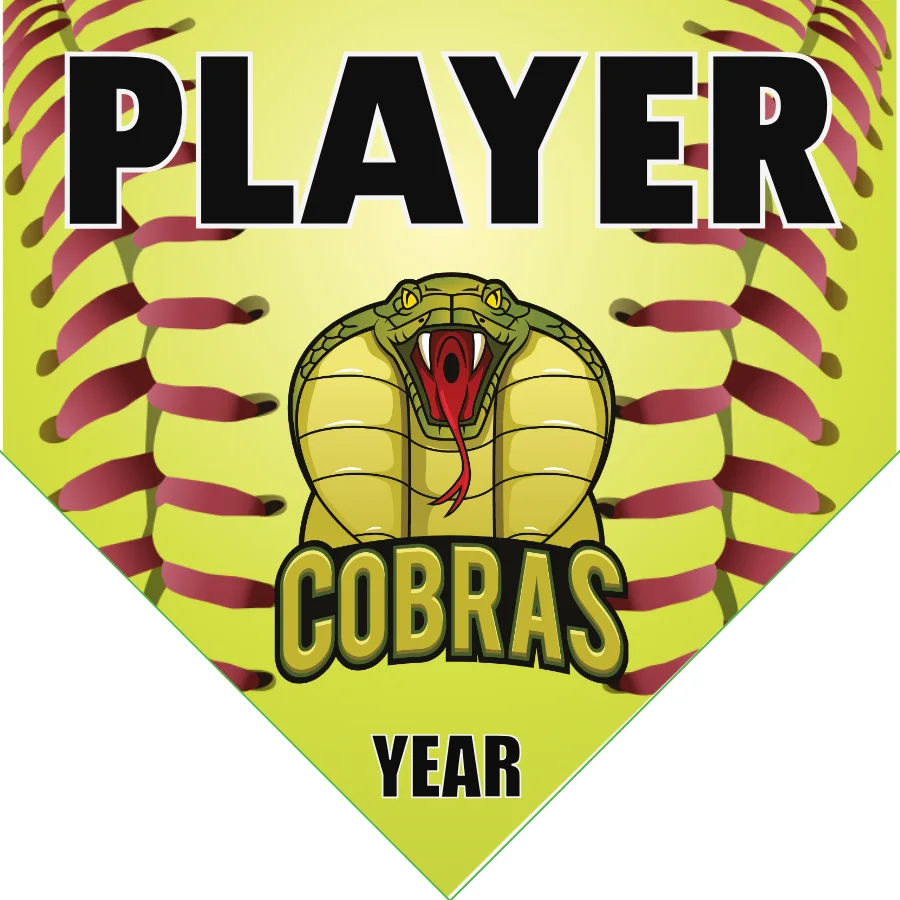 Cobras Softball Banner-all-star-softball-banners-picture