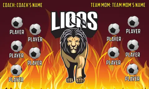 Lions 2 Soccer Banner-banner-soccer-image