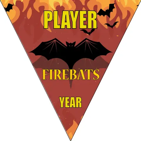 Fire Bat Soccer Banner-banners-for-soccer-team-picture