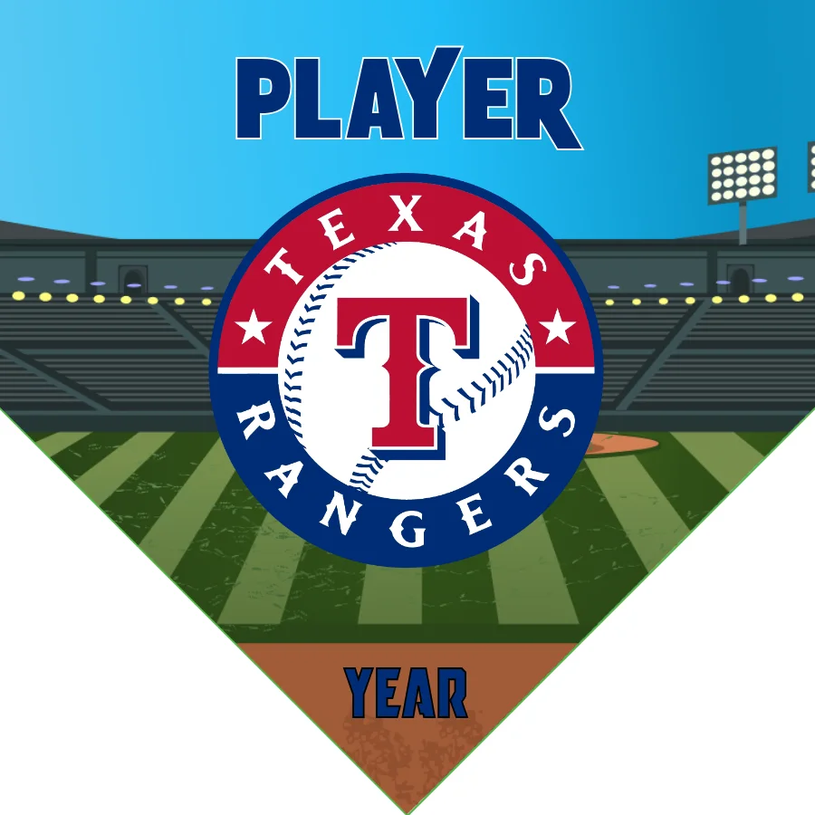 Texas Baseball Banner-baseball-dugout-banners-images