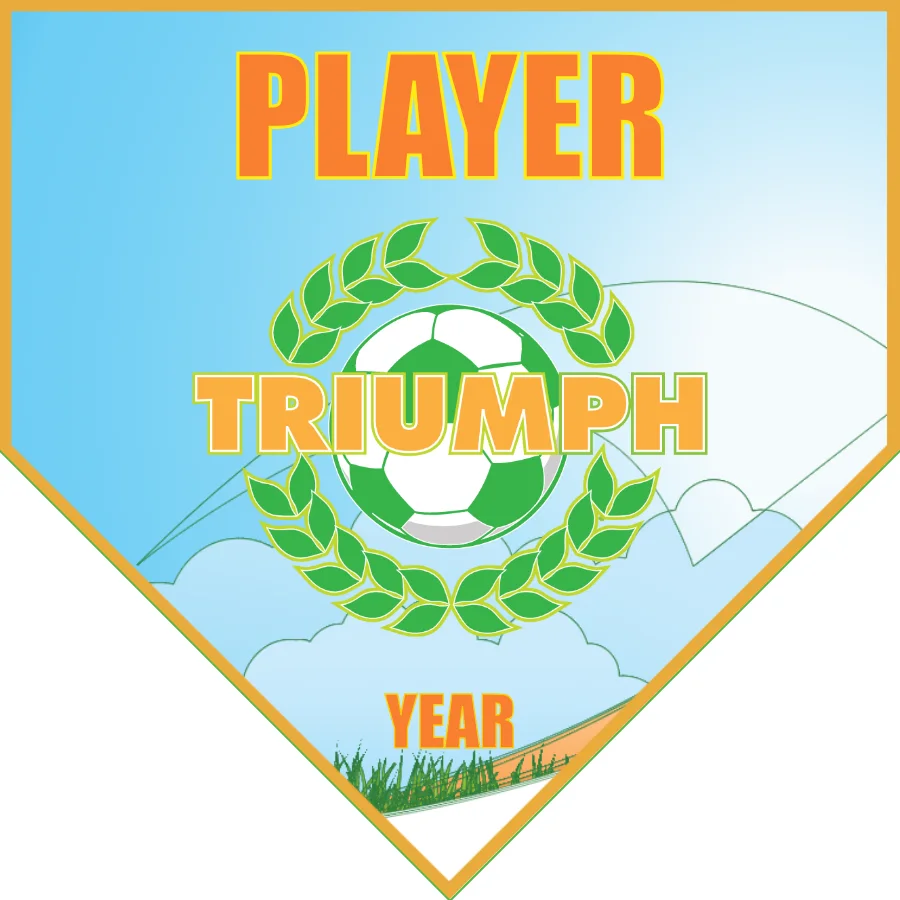 Triumph Soccer Banner-soccer-ball-banner-picture