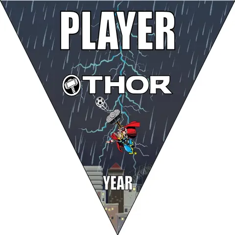 Thor Soccer Banner-soccer-banners-in-chula-vista-picture