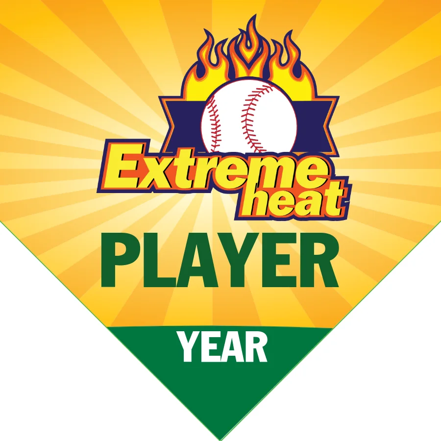 Extreme heat Softball Banner-custom-softball-team-banners-images