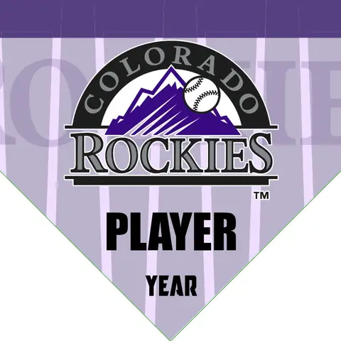 Rockies Baseball Banner-baseball-team-banners-with-sponsors-images
