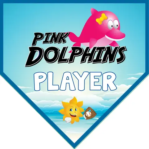 Pink Dolphins 1 Softball Banner-vinyl-softball-banners-images
