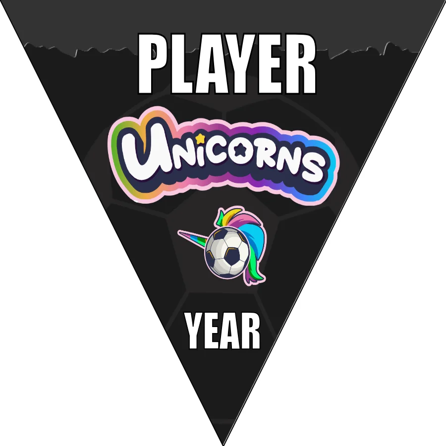 Unicorns 3 Soccer Banner -soccer-banner-ideas-picture