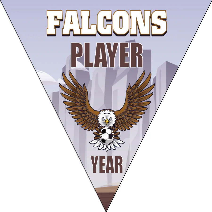 Falcons  Soccer Banner-banner-soccer-image