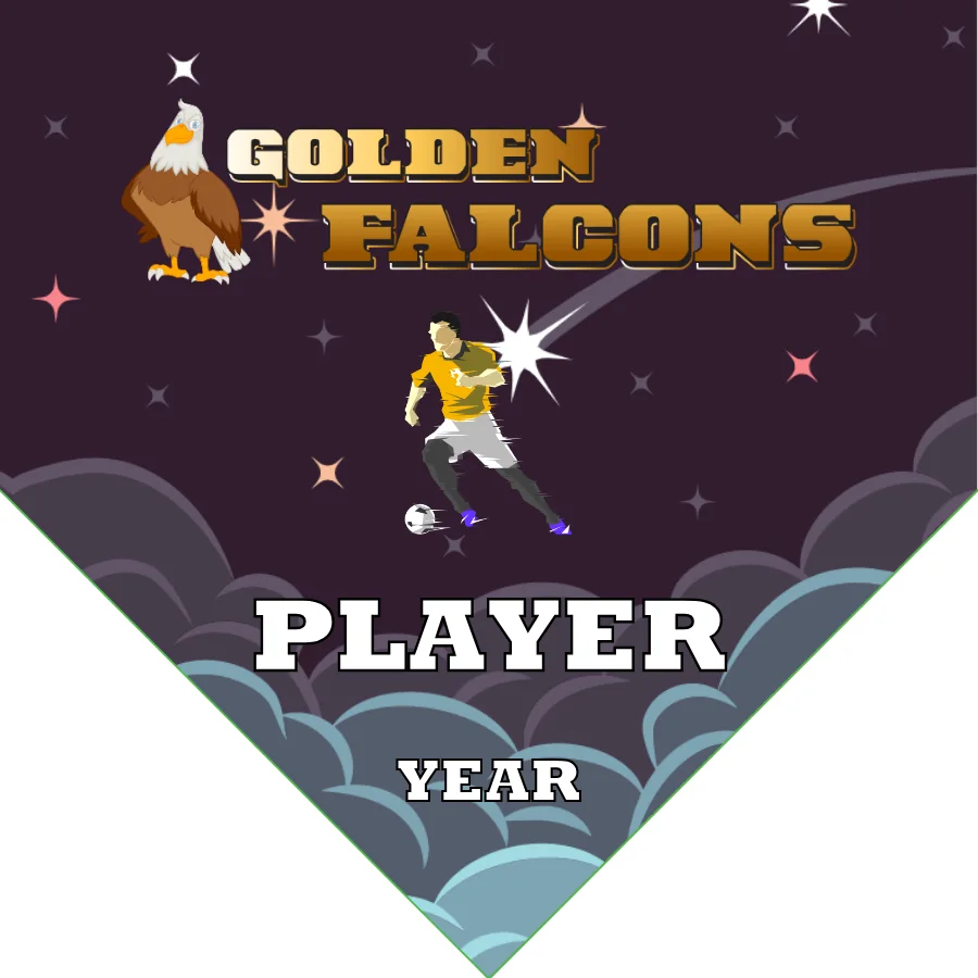 Falcons Golden Soccer Banner-best-soccer-banners-picture