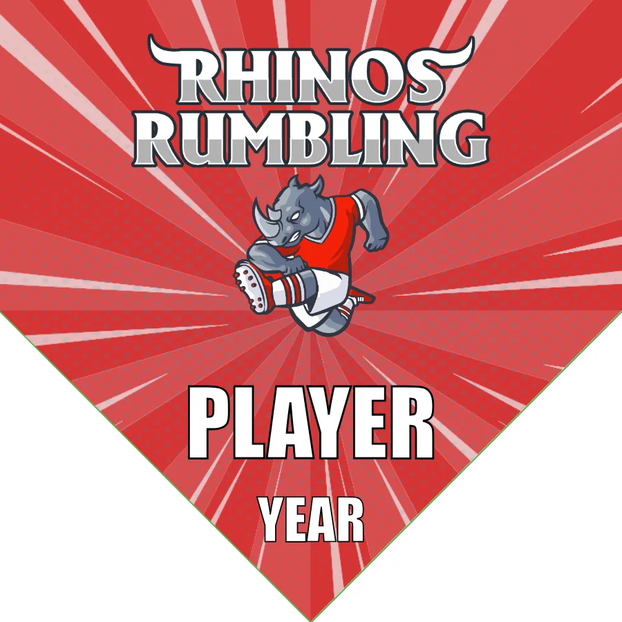Rhinos Rumnling Soccer Banner-how-to-make-a-soccer-banner-stand-picture