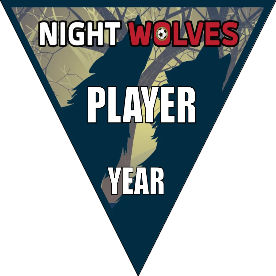 Nightwolves Soccer Banner-soccer-ball-banner-picture