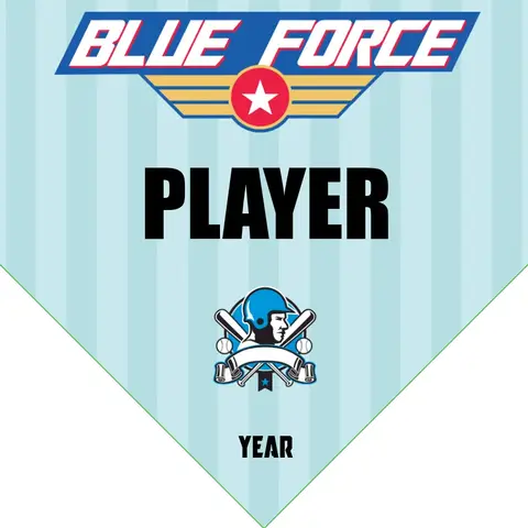 Blueforce 1 Softball Banner-softball-banner-images