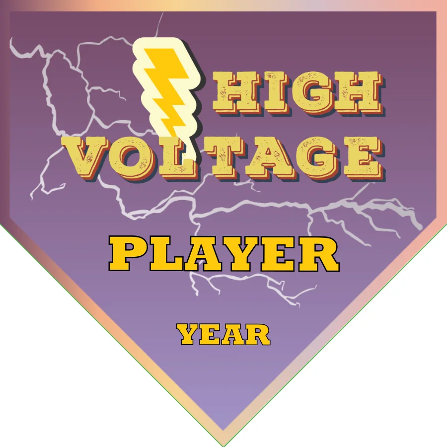 High Voltage Soccer Banner-soccer-banner-usa-picture