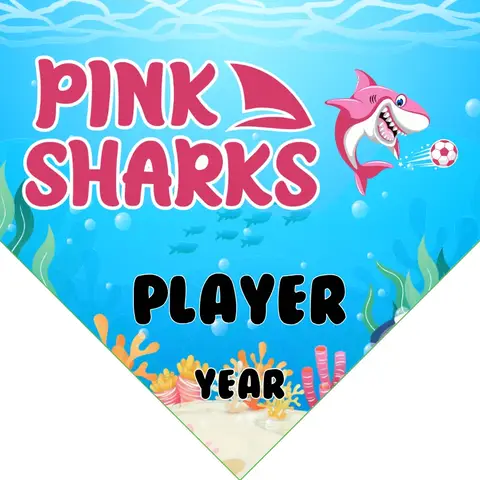 Pink Sharks Soccer Banner-soccer-banners-san-diego-picture