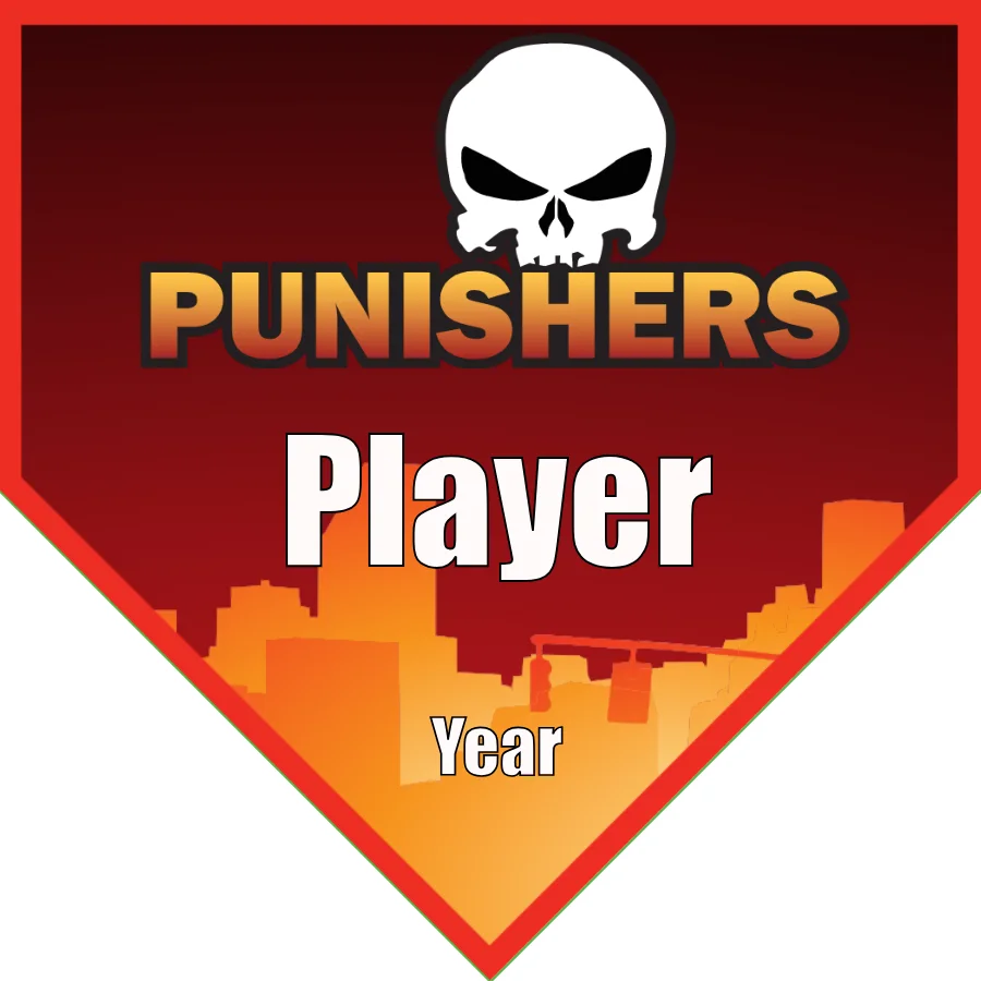 Punishers Soccer Banner-soccer-team-banner-ideas-picture
