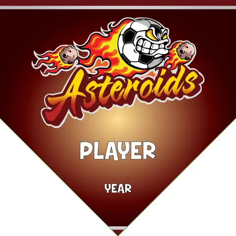 Asteroids Soccer Banner-soccer-banners-pinterest-picture