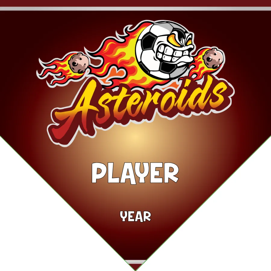 Asteroids Soccer Banner-soccer-banners-pinterest-picture