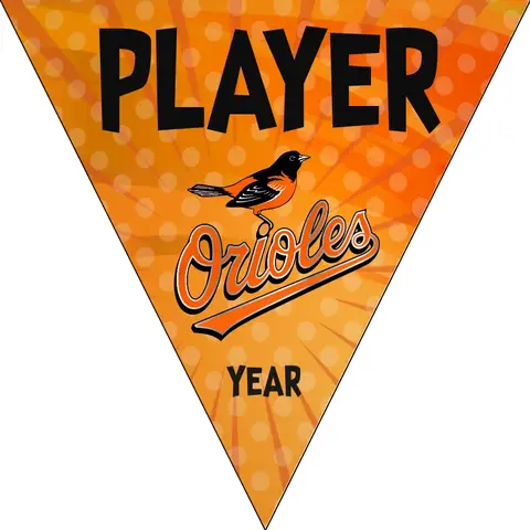 Orioles Baseball Banner-baseball-banner-fundraiser-images
