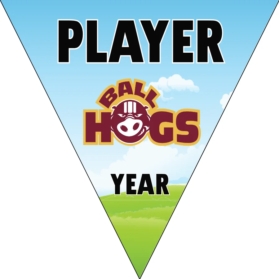 Ball Hogs Soccer Banner-ayso-soccer-banner-requirements-picture