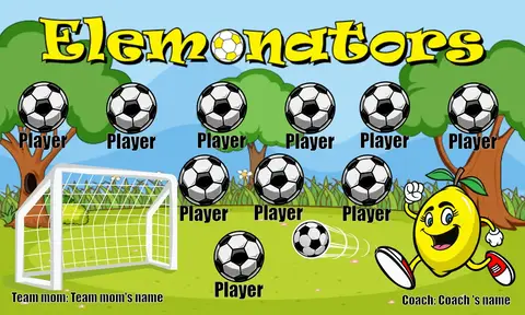 Elemonators 2 Soccer Banner-soccer-banner-gallery-picture