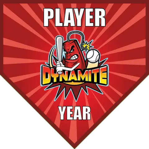 Dynamite-red-pink-home-softball-banners-pennants-picture