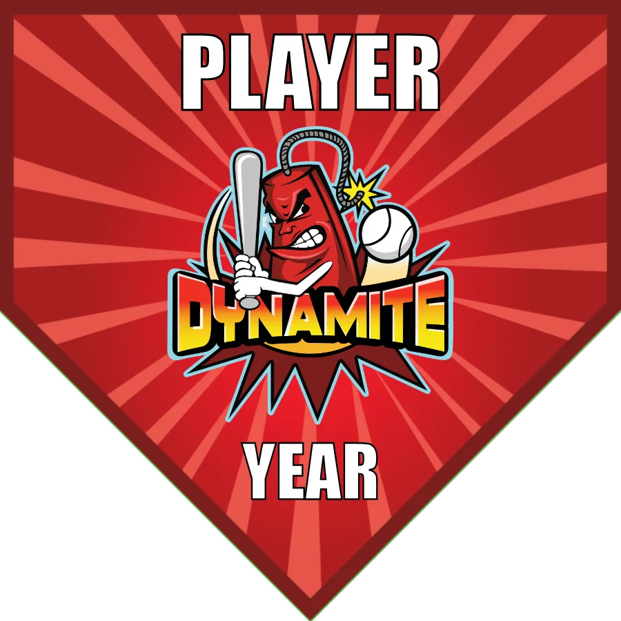 Dynamite-red-pink-home-softball-banners-pennants-picture