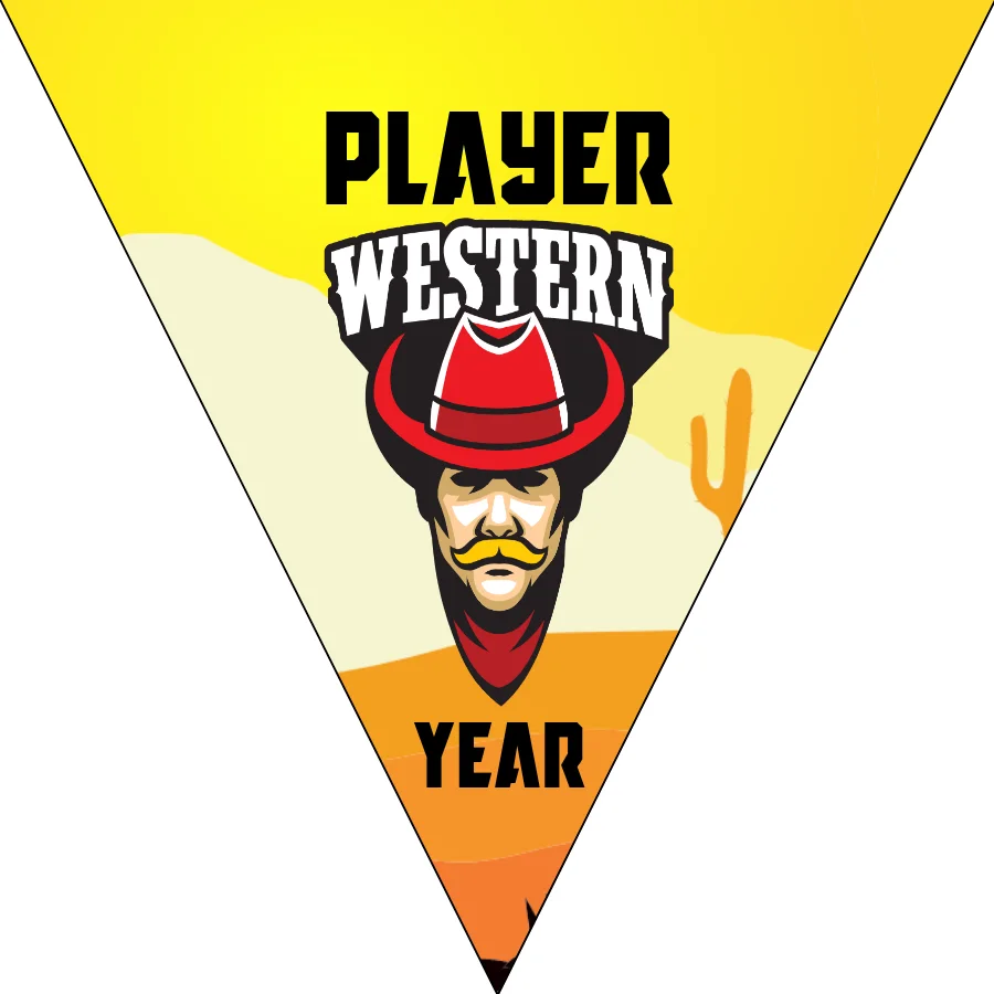 Western 01 Soccer Banner,-soccer-party-banner-picture